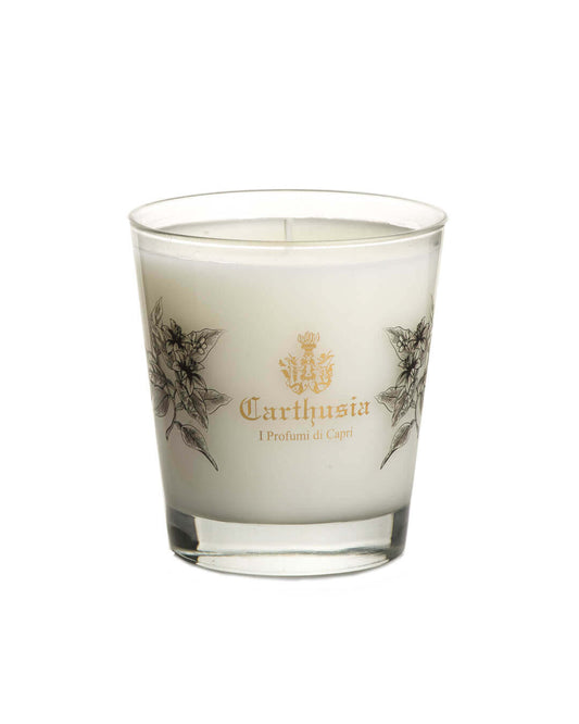 Secret Oud Candela