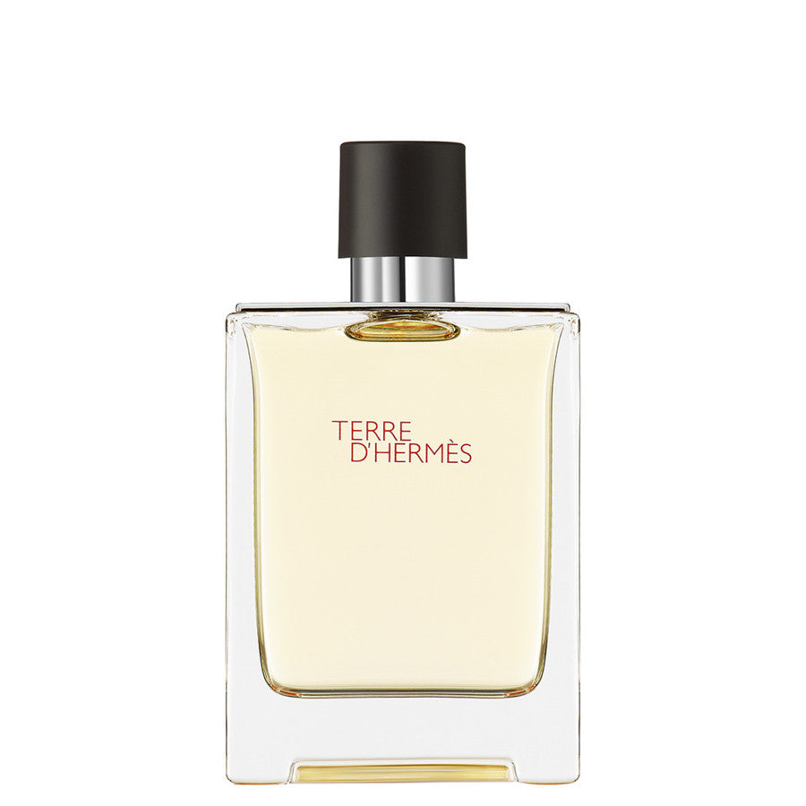 HERMES TERRE D'HERMES EAU DE TOILETTE 100 ML
